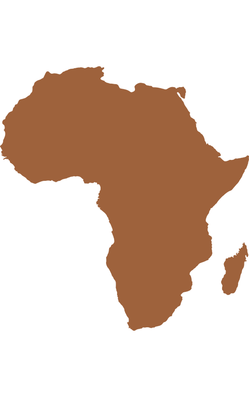Nos destinations en Afrique